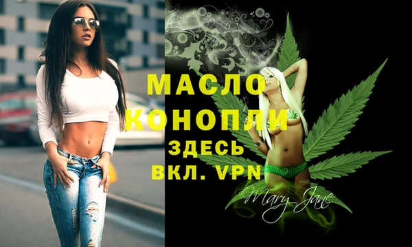 гидра Аша