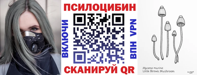 Галлюциногенные грибы ЛСД  даркнет сайт  Трубчевск 